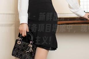XIAOYU语画界 - 新鲜出炉！安可儿女仆合集更新——服务项目增添中，现今实用主义！