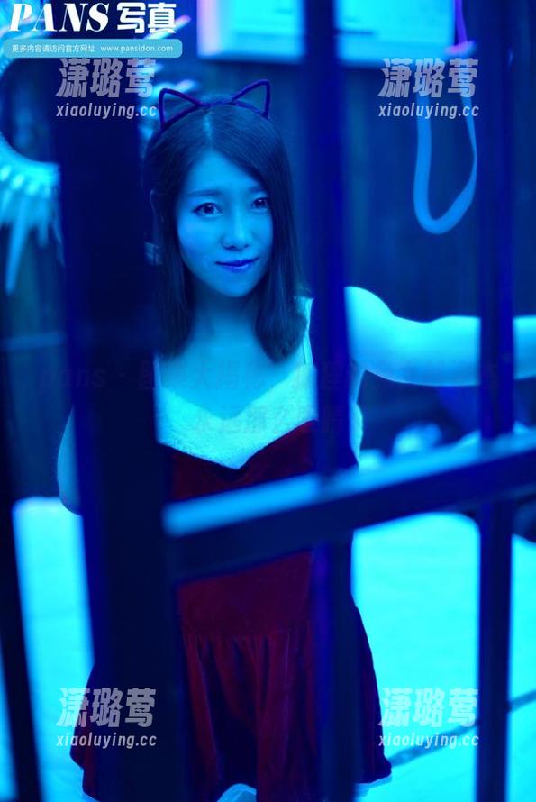 pans - 图集大揭秘，狐狸的兔女郎姿态永远那么吸睛
