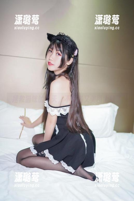 拯救猫咪的夏天，不呆猫又美图上线了