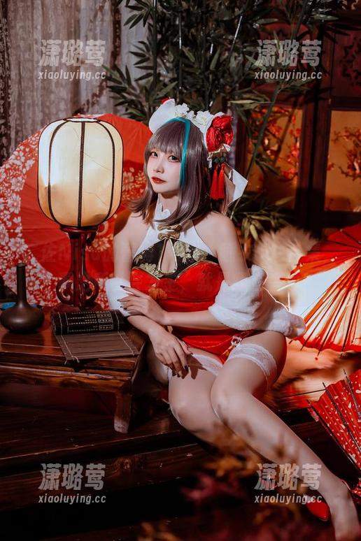 二佐Nisa的蕾姆1号本，睡衣cos合集，囧事之所以会发生，就是我在旁边！