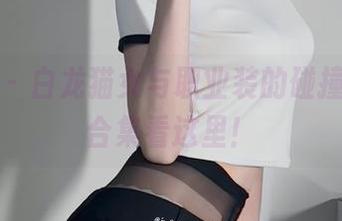 微密圈 - 白龙猫女与职业装的碰撞，美图合集看这里！